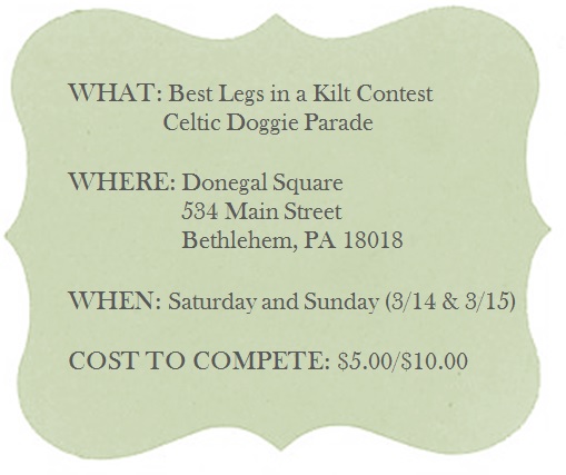 Donegal Square St. Patricks Day