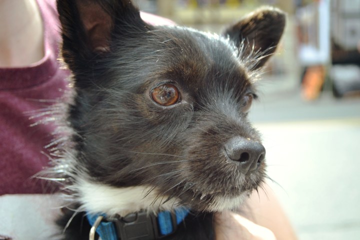 Fine Art and Craft Show 24